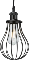 Pendant Cage Matte Black