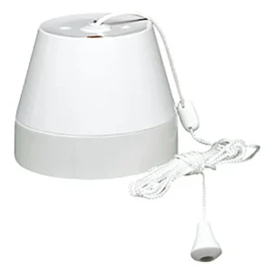 Capital 50A 2-Pole Ceiling Switch with Neon Indicator