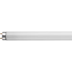 Crompton FT436SPDYLT Fluorescent Tube T8 Triphosphor 36W 6500K G13