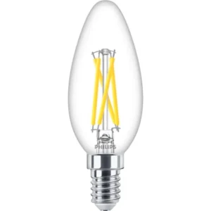 Master LED Candle DT2.5-25W E14 B35 CL G Lamp