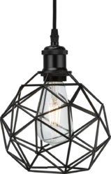 Pendant Cage Matte Black