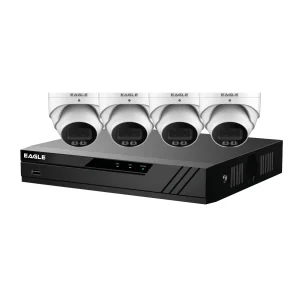8CH, 2TB HARD DISK, 4 X WHITE, DUAL ILLUMINATION FULL COLOUR CAMERA CCTV KIT WITH CABLES