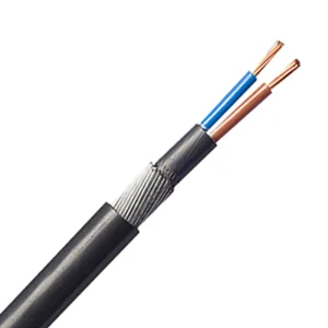 Cable 2 Core SWA XLPE/PVC BS5467 6mm Black