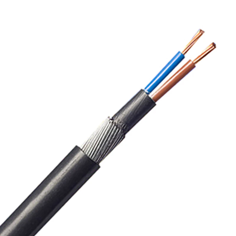 Cable 2 Core SWA XLPE/PVC BS5467 6mm Black