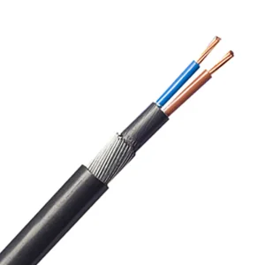Cable 2 Core SWA XLPE/PVC BS5467 10mm Black