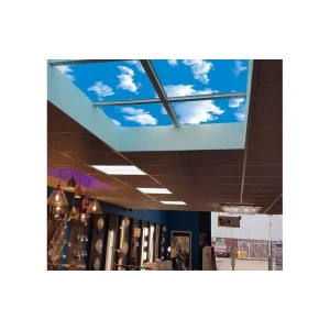 Ener-J E801 2D Sky Cloud Smart LED Tiles 40W 60mm X 600mm - 4 Pack