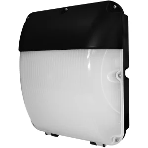 Eterna WPACKLED 30W LED Amenity Wall Pack Bulkhead