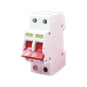 Wylex 100A DP Main Switch