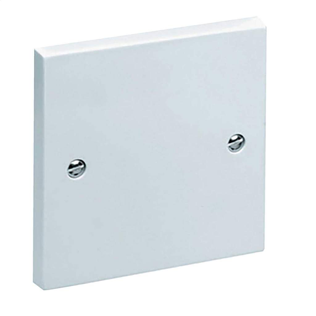 Pik-a-Pak Single Blank Plate - Image 2