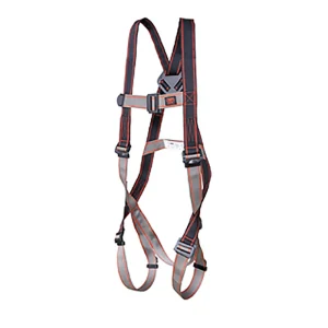 Pioneer 3-Point Harness
