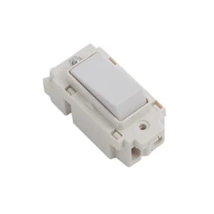 20A Double Pole Grid Switch Module