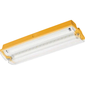 Vanguard Site M/Nm Emergency Bulkhead 110V 3Hr Ip65