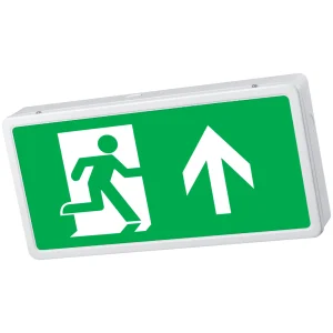 Lexington Life Legend Iso Up