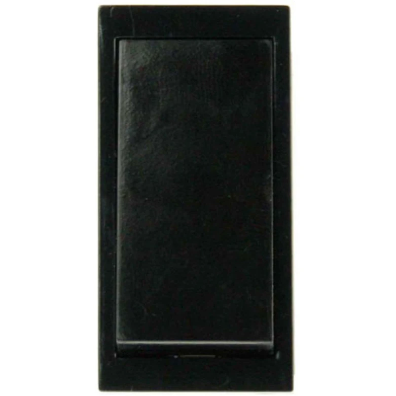 Black 10AX 2 Way Switch Module