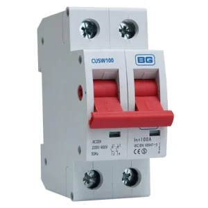 Switch Disconnector Double Pole 100A 230V 35 x 81 x 76mm