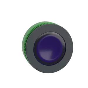 Head Flush Mounted Pushbutton 30mm Blu Illum For Integral LED