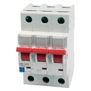 Lewden EMS-1253P Main Switch Disconnector 125A 3 Pole