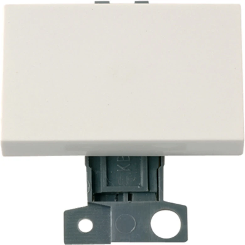 Switch 2 Way Module 10A Polar White