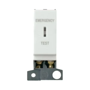 Switch DP Resistive Module Emergency Test 13A Click White