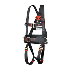 Spartan 2-Point Harness