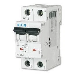 Miniature Circuit Breaker (MCB) 2A 2 Pole Characteristic: Type C 6kA