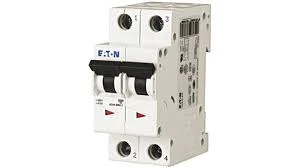 Miniature Circuit Breaker (MCB) 6A 2 Pole Characteristic: Type D 10kA