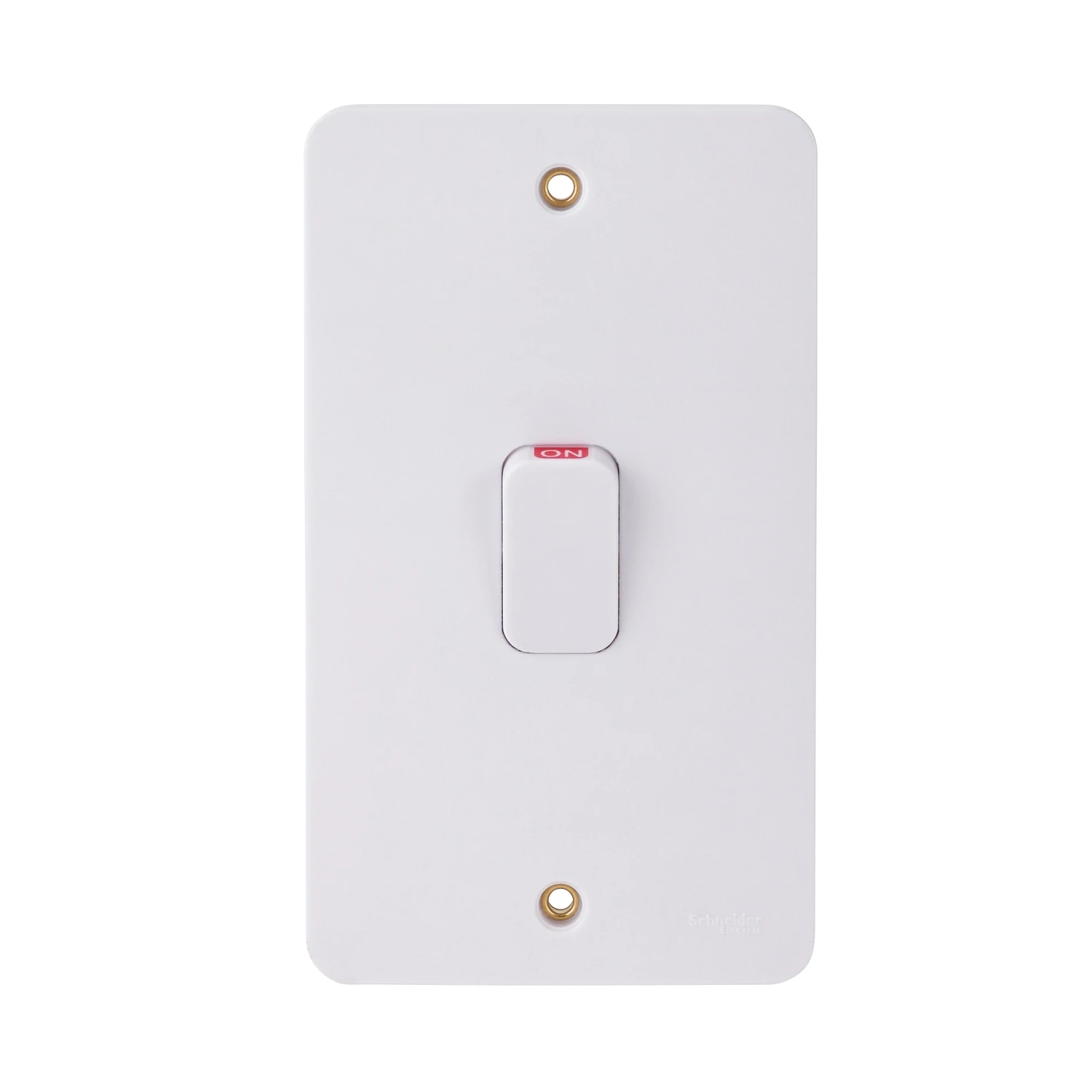 Schneider Control Switch 2 Gang DP c/w LED 50A White - Image 3