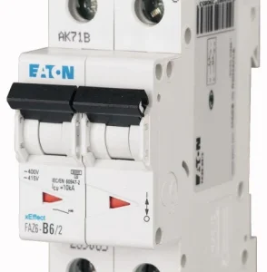 Miniature Circuit Breaker (MCB) 40A 2 Pole Characteristic: Type D 10 Ka