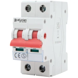 100A 2 Pole Disconnector-Switch