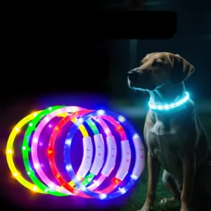 New Waterproof Nylon USB Rechargeable LED Pet Glow Collar Adjustable Luminous Flashing Light Night Safety Dog Training Pack of 10