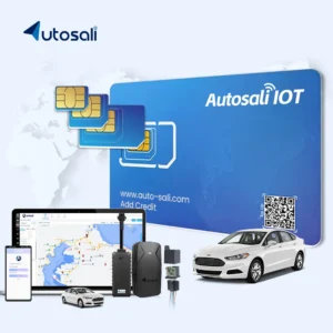 Global International 4G 2G Africa Iot Simcard Esim Gps Tracker Sim Card for Tracking Card Global for Internet M2m Iot Sim Cards Pack of 2