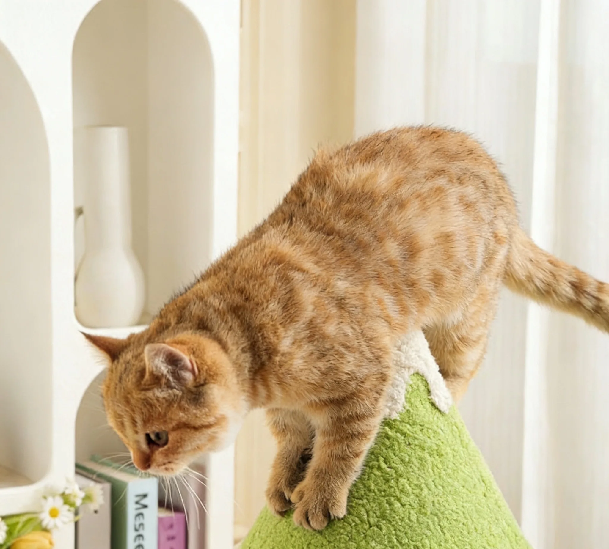 Cheap Price Cat Scratching Post Fun Christmas Tree Design New Luxury Fun Christmas Tree Gift Cat Scratching Post Sisal Wood Pack of 20 - Image 2