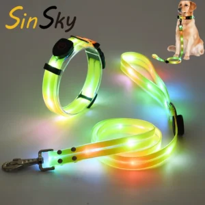 SinSky USB Rechargeable LED Dog Leash Waterproof Reflective Pet Leashes Lighted PVC Webbing Dog Leash for Dogs Training Walking Pack of 2