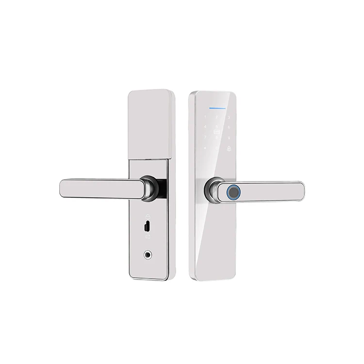 WiFi APP Control Intelligent Fingerprint Key Password Card Tuya Smart Home Wood Door Lock - Image 3