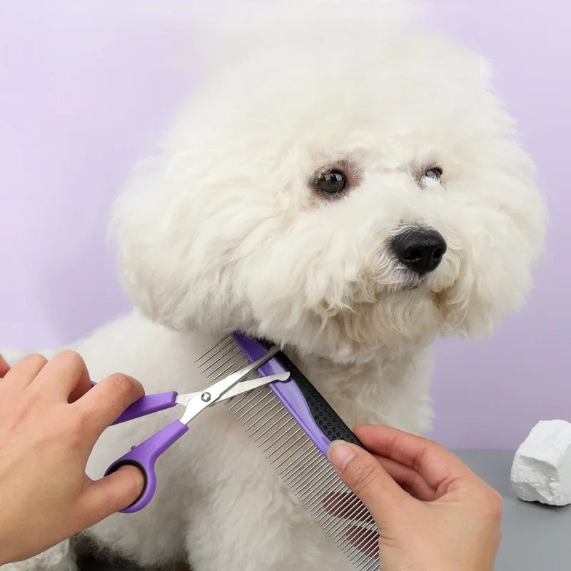 Plastic De-shedding Beauty Complete Pet Grooming Set 9PCS Professional High Quality PP Material Dog Grooming Kit & Scissors Set - Image 4