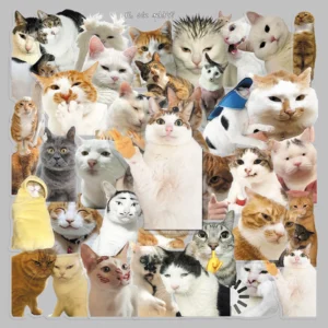 50pcs Factory-Customized Popular Funny Hakimi Cat Meme Transparent Decorative Stickers for Phone Cases & Laptops