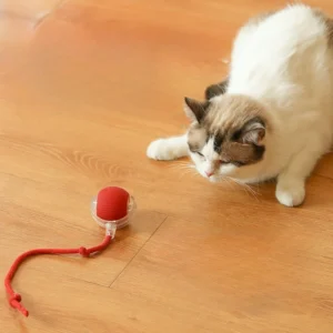 New Design Interactive Smart Ball With Tail Accessories Rolling on Carpet Fast Indestructable Rolling Smart Cat Toys Pack of 10
