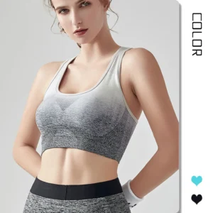 Fitness Yoga Bra Gathering Hanging Dye Seamless Jacquard Rings-free Sports Running Underwear Women's Breathable Quick-drying Pack of 2