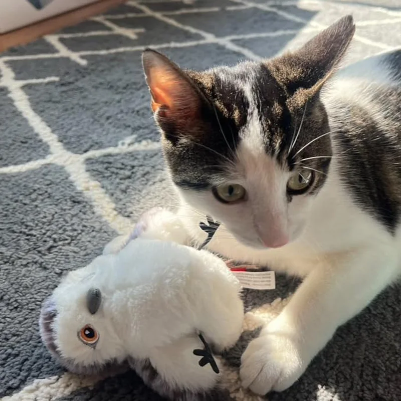 Simulation Bird Touch Sensor Electric Cat Toy with Vibration Wings & Sound Simulation Smart Pet Teaser Pack of 10 - Image 3