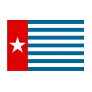 Swil Factory Custom Made Eco-Friendly Polyester Rearview Window Hanging Pennant Flag West Papua Car Digital Printing Banner Pack of 5