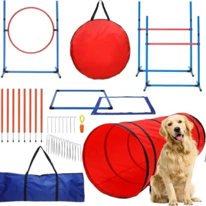 Sustainable PE PVC Plastic Agility Training Set for Dogs Outdoor Obstacle Jumps Tunnel Pet Training Pads Pack of 2