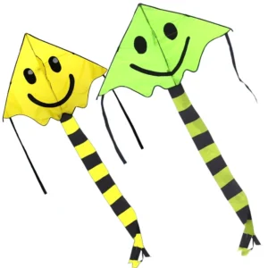 Yongjian Factory Direct Provide Cartoon Funny Kite Little Smiley Face Kite Fancy Kite Pack of 2