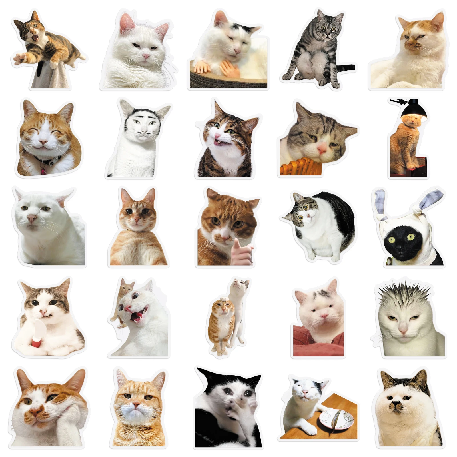 50pcs Factory-Customized Popular Funny Hakimi Cat Meme Transparent Decorative Stickers for Phone Cases & Laptops - Image 4