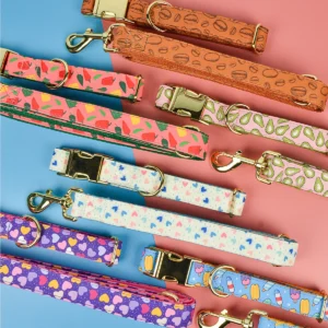 MIDEPET Valentine's Day New Year Gift Factory Wholesale Luxury Brand Hands Free Dog Collar and Leash for Small Medium Large Dogs