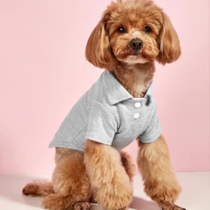 Premium Summer Breathable Pet T-Shirts Wholesale Small Dog Clothes & Cat Blouses Coat Apparel Accessory Type Pack of 5