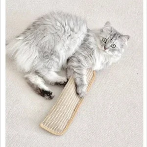 Catnip Throw Pillows for Self-entertainment and Boredom, Sisal cat Scratch Pads, Catnip Toys, Pet Toys, Pet Supplies Pack of 20