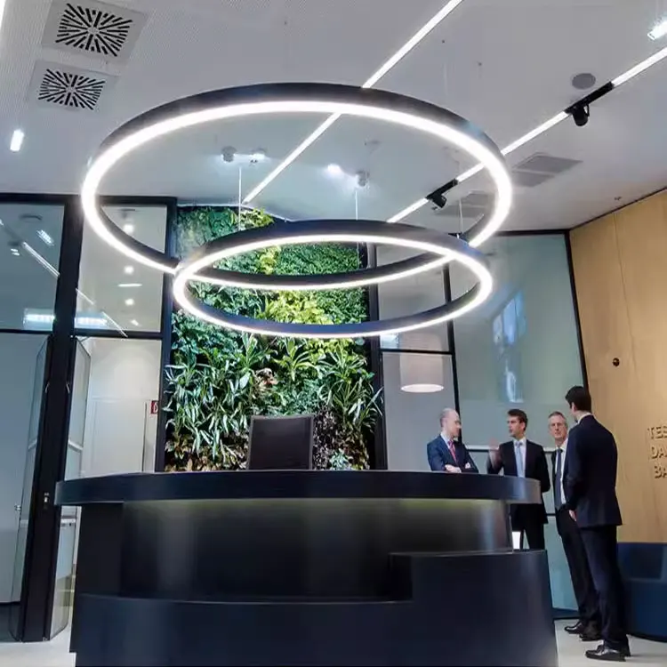 Indoor Brass Round Led Ceiling Lighting Ring Hanging Lamp Circular Rectangular Pendant Lights Modern Led Chandelier - Image 2