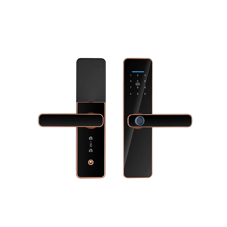 WiFi APP Control Intelligent Fingerprint Key Password Card Tuya Smart Home Wood Door Lock - Image 4