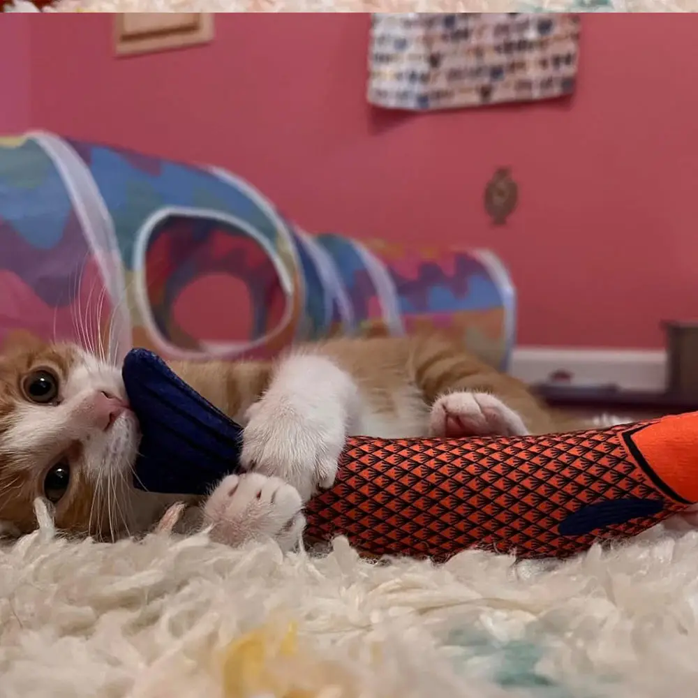 Pet Supplies Toys for Pets Fish Soft Durable Interactive Cat Kicker Toys Fish Shape Catnip Chewing Interactive Movement Toy Pack of 2 - Image 3