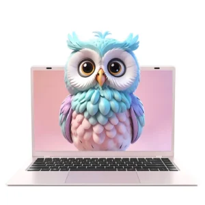 15.6 Inch Intel 6500Y 16+256GB SSD Laptop Computer Windows 11 China Factory Cheap Gaming Laptop Computers Laptops and Desktops